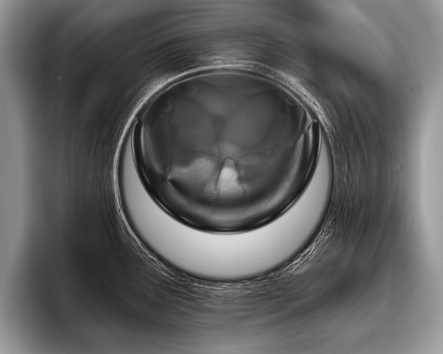 X0000096991291200802081420