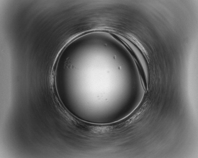 X0000096991292200802081420