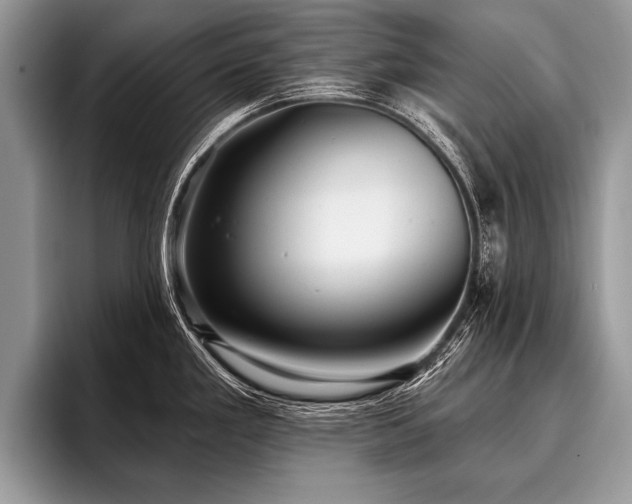 X0000096991293200802081420