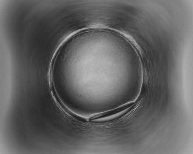 X0000096991295200802081420