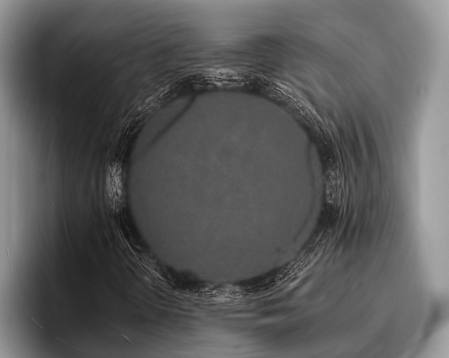 X0000096991298200802081419