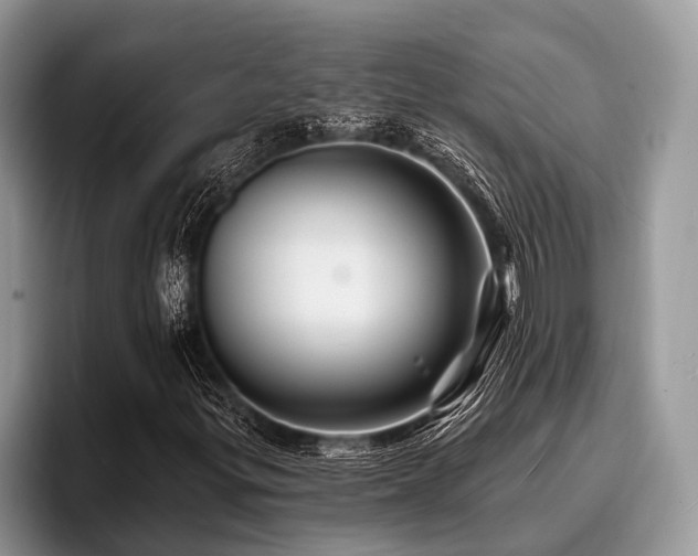 X0000096991299200802081419