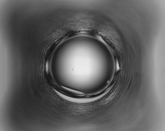X0000096991300200802081419