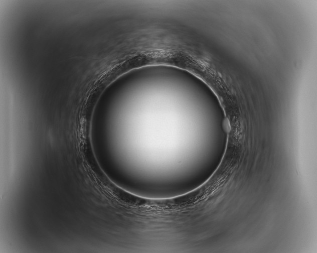 X0000096991301200802081419