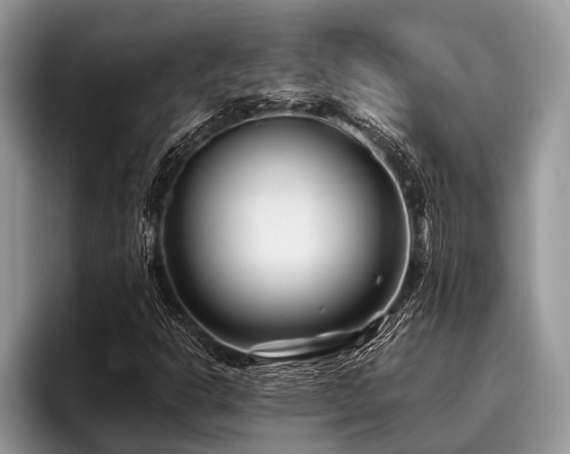 X0000096991302200802081419