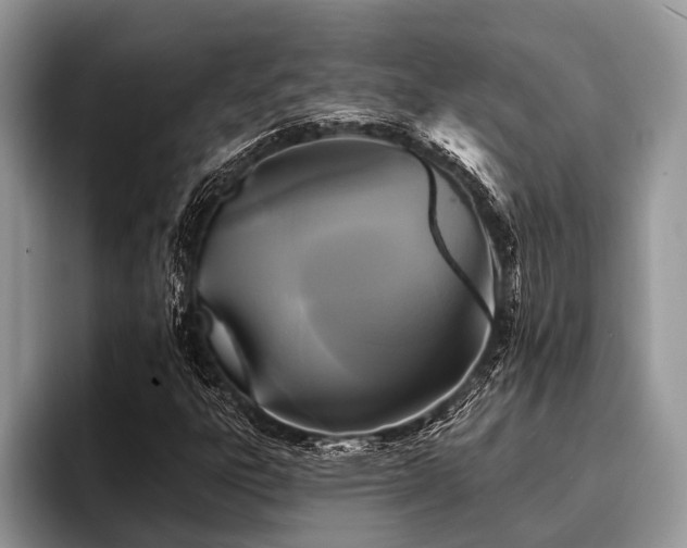 X0000096991303200802081419