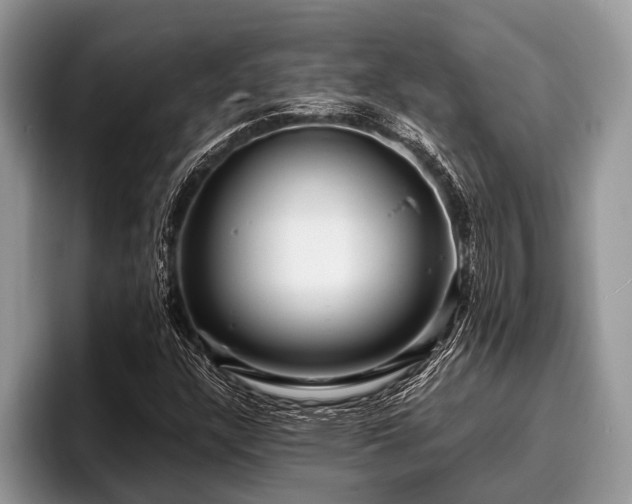 X0000096991304200802081419