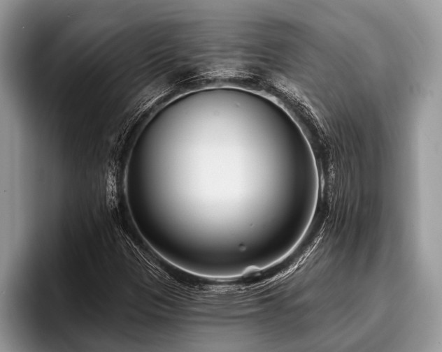 X0000096991305200802081419