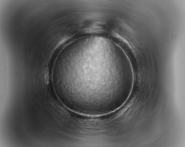 X0000096991306200802081419