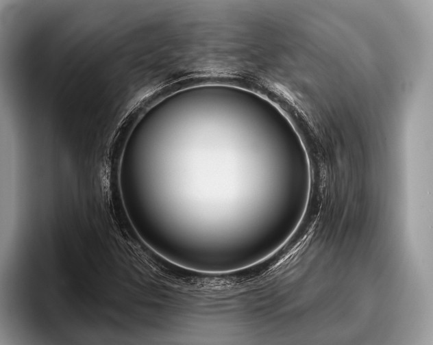 X0000096991307200802081420
