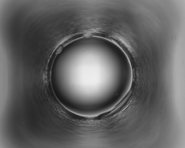 X0000096991308200802081420