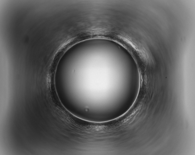 X0000096991309200802081420