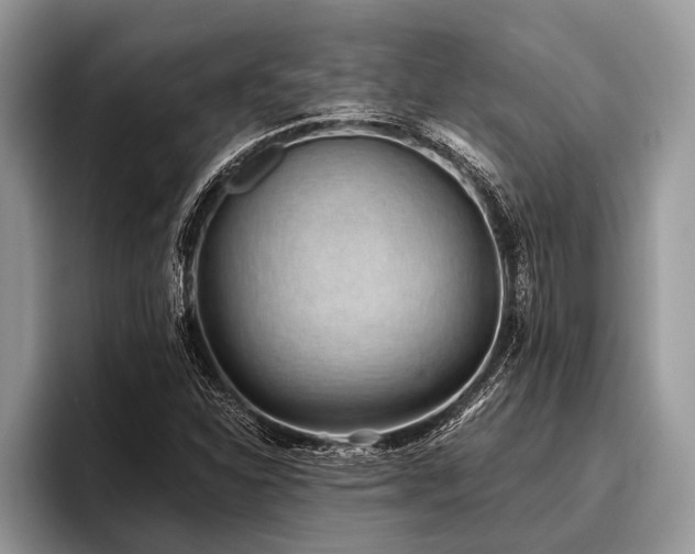 X0000096991310200802081420