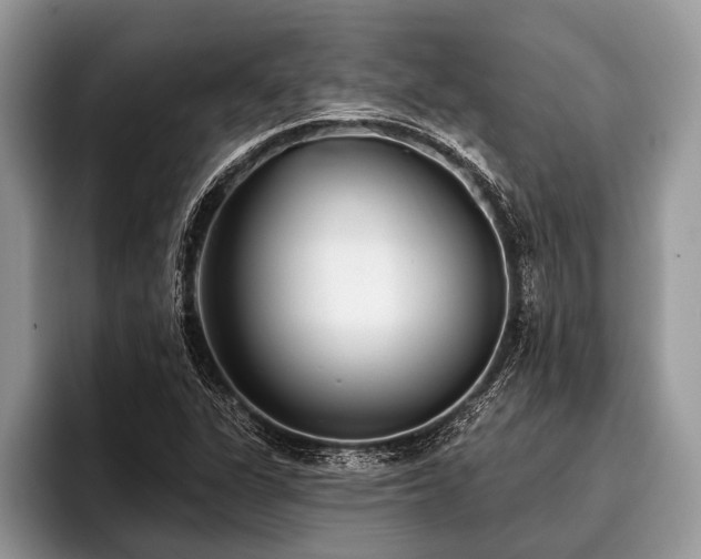 X0000096991311200802081420