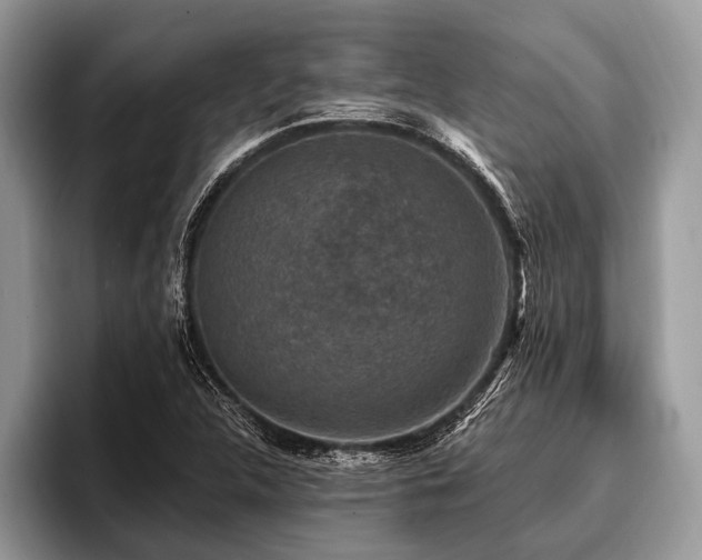 X0000096991312200802081420