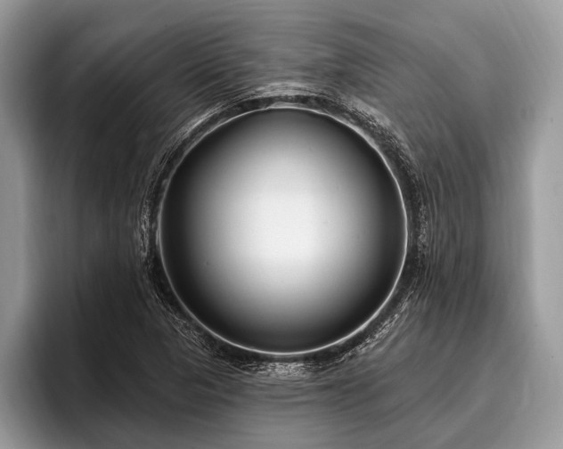 X0000096991313200802081420