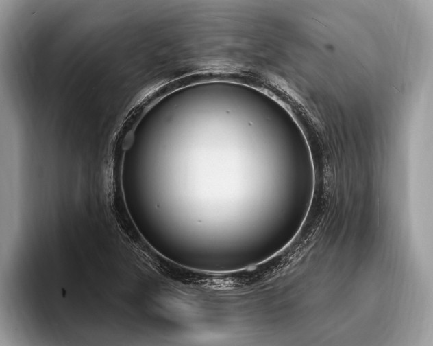 X0000096991315200802081420