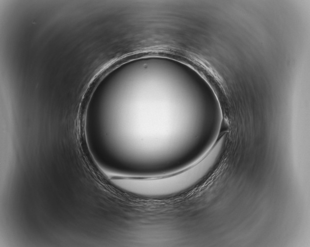X0000096991316200802081420