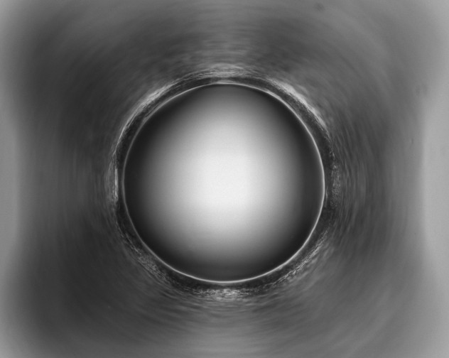X0000096991317200802081420