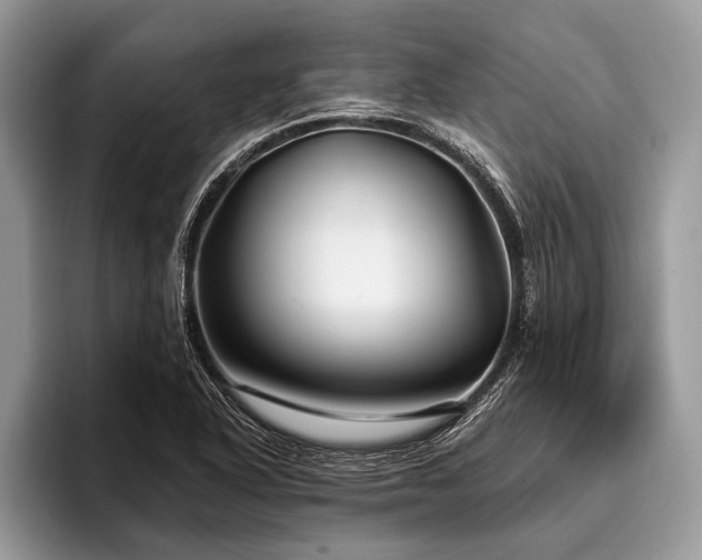X0000096991318200802081420