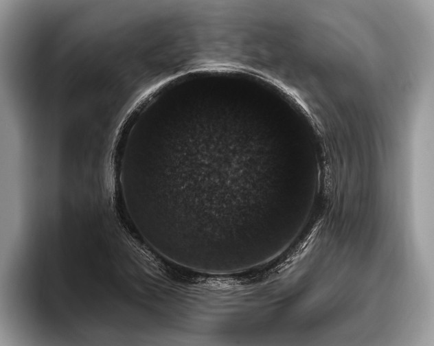 X0000096991319200802081420