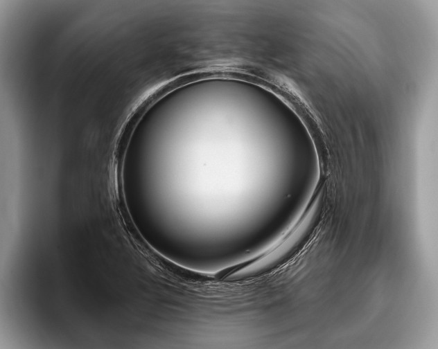 X0000096991320200802081420