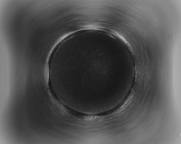 X0000096991323200802081420