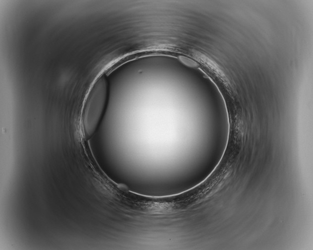 X0000096991324200802081420