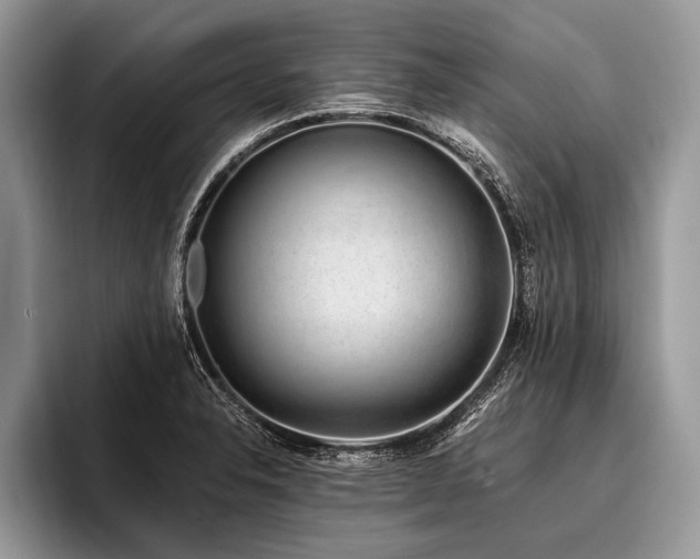 X0000096991326200802081420
