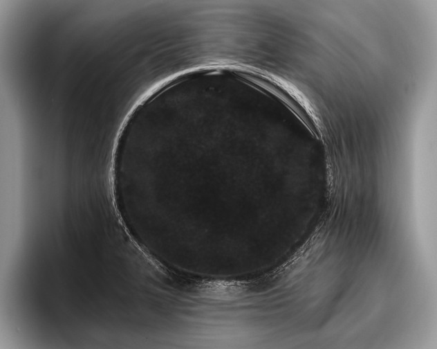 X0000096991327200802081420