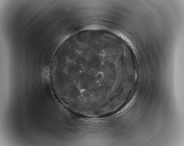 X0000096991329200802081420