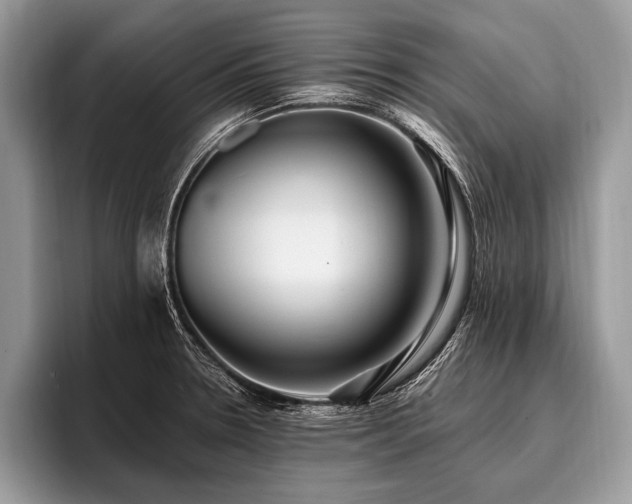 X0000096991330200802081420