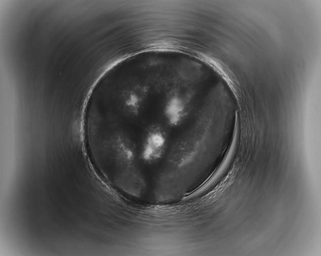 X0000096991331200802081420