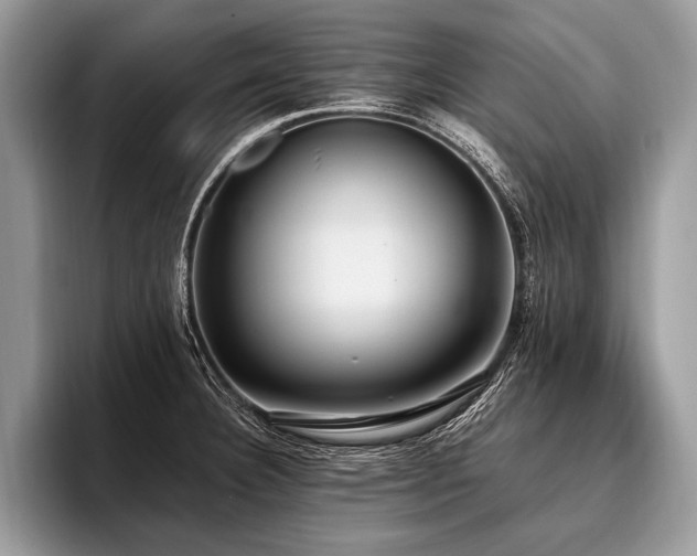 X0000096991332200802081420