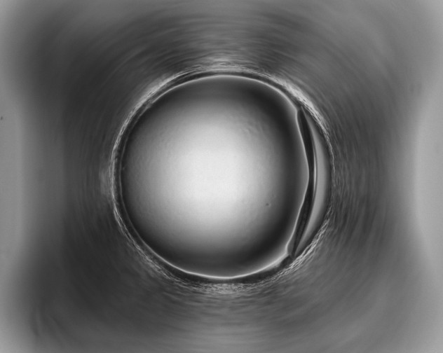 X0000096991333200802081420