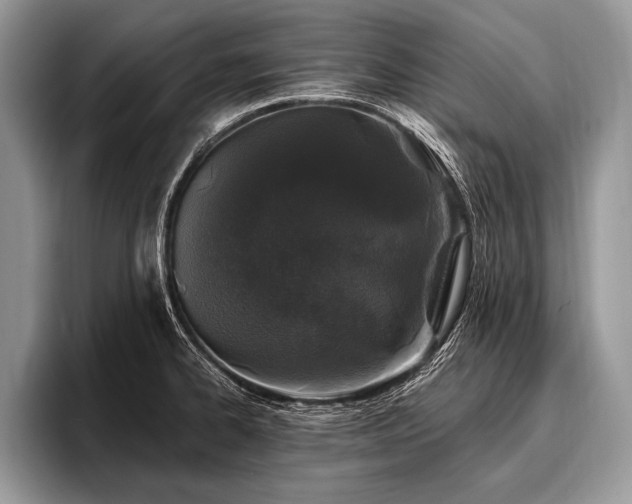 X0000096991334200802081420