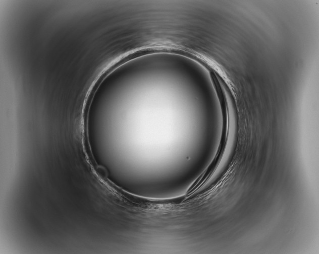X0000096991335200802081420
