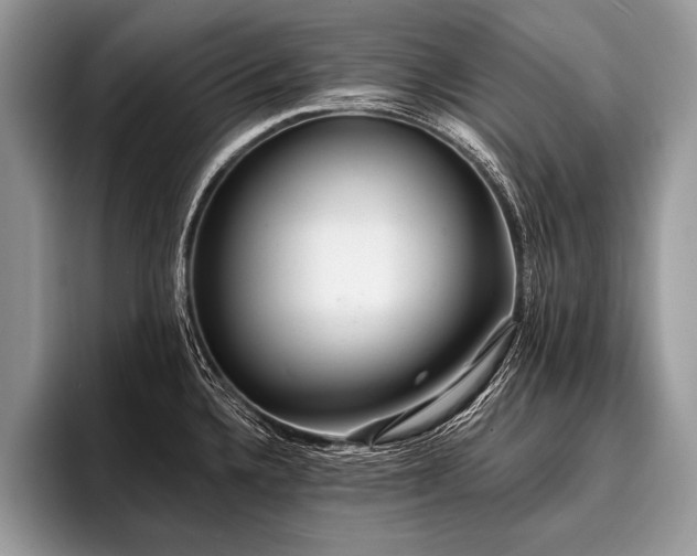 X0000096991336200802081420