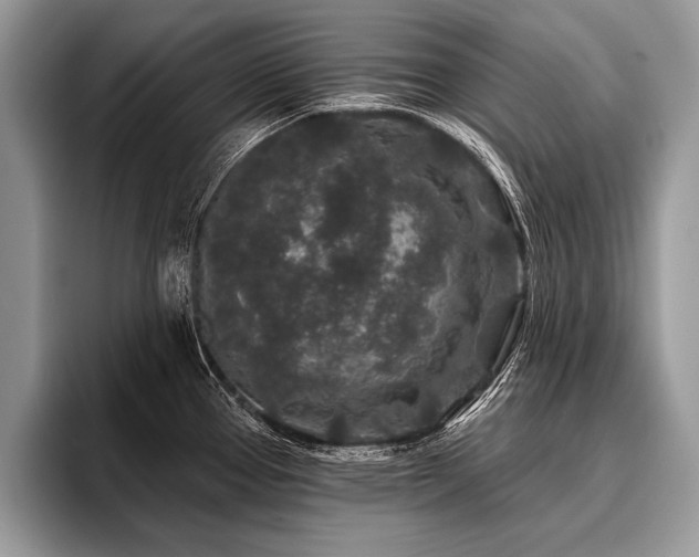 X0000096991337200802081420