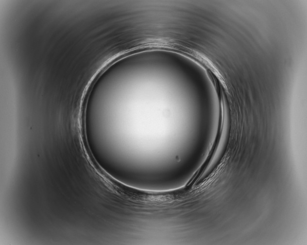 X0000096991339200802081420