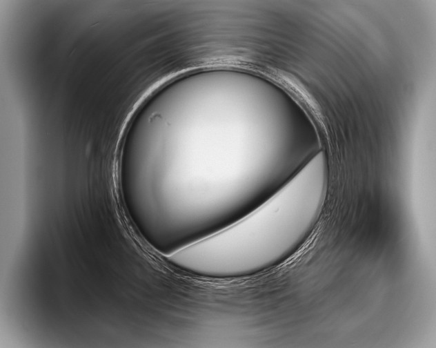 X0000096991340200802081420