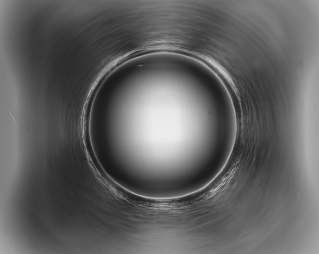 X0000096991341200802081420