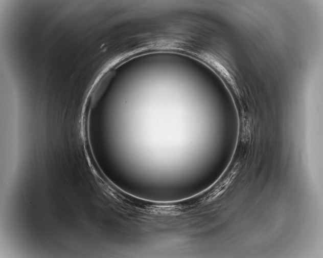 X0000096991342200802081420