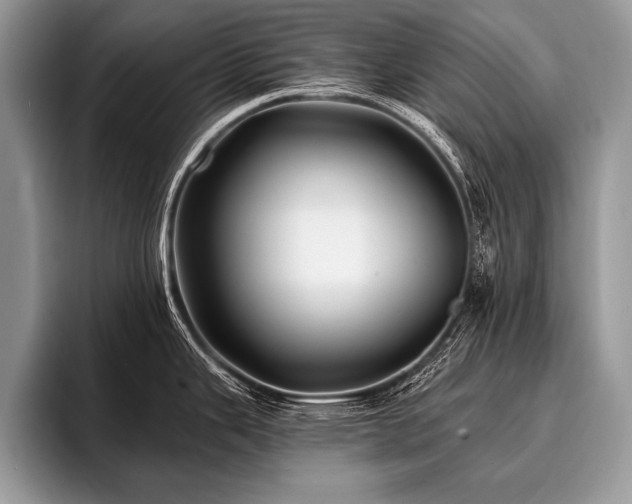 X0000096991343200802081420