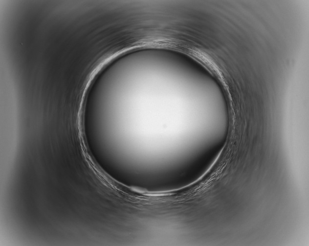 X0000096991344200802081420