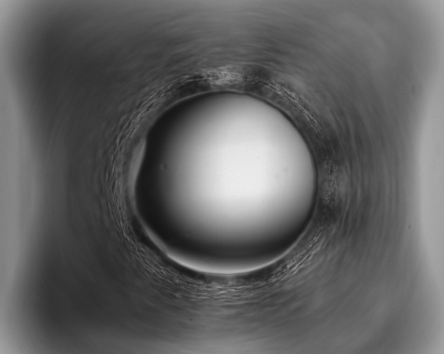 X0000096991345200802081419