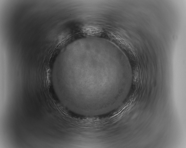 X0000096991346200802081419
