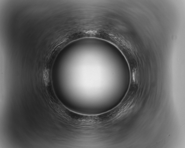 X0000096991347200802081419