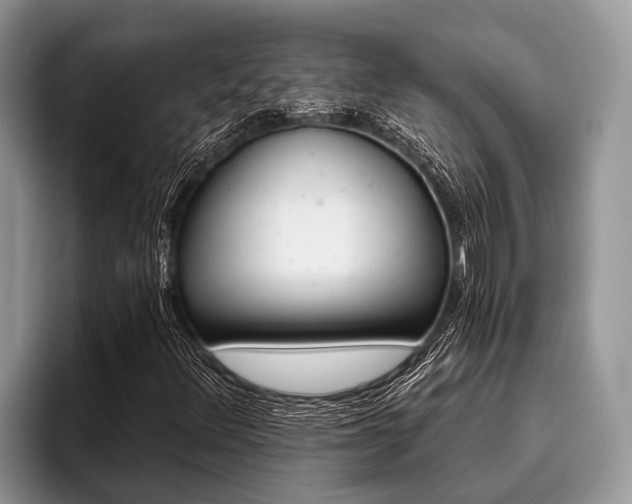 X0000096991348200802081419