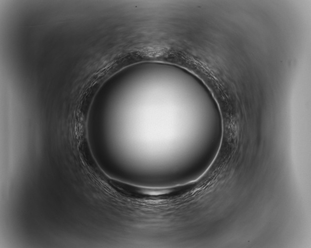 X0000096991349200802081419
